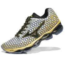 mizuno wave prophechy-3